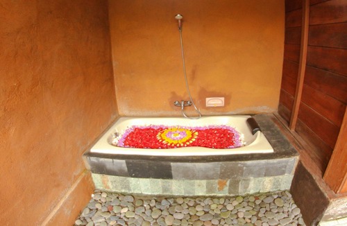Tegallalang Hotel | Belvilla Moksha Ceking Rice TerraceNearUbud Jungle Swing