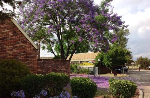 West Wodonga Hotel | Belvoir Village Motel & Apartments Wodonga