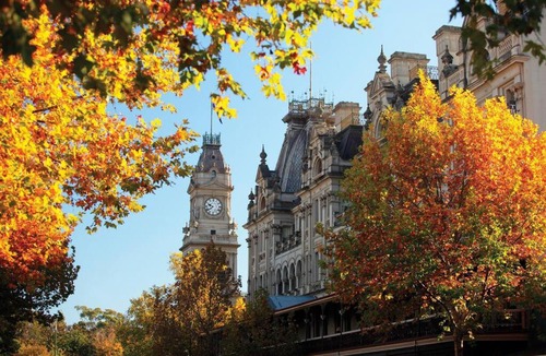 Bendigo Apartment | Bendigo CBD Apartment