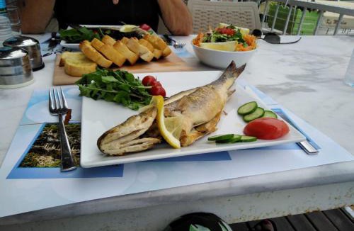 Dalyan City Center Hotel | Berg Hotel