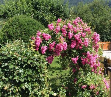 Burgrain Apartment | Bergblick