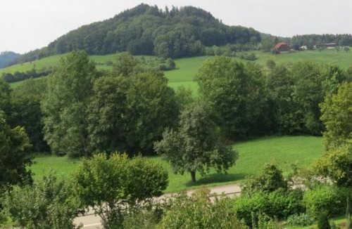 Schwaebisch Gmuend Apartment | Bergnest