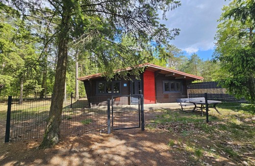 Sassenburg Apartment | Bernsteinsee Home and Ferien Forest Chalet