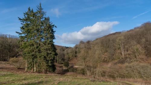 Lydney House | Bertha Shepherd's Hut