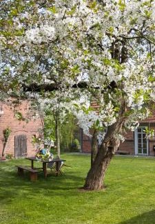 Nebelin Apartment | besinndich