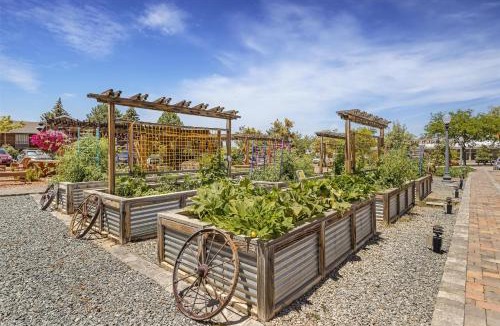 Cedar City Hotel | Best Western Plus Cedar City