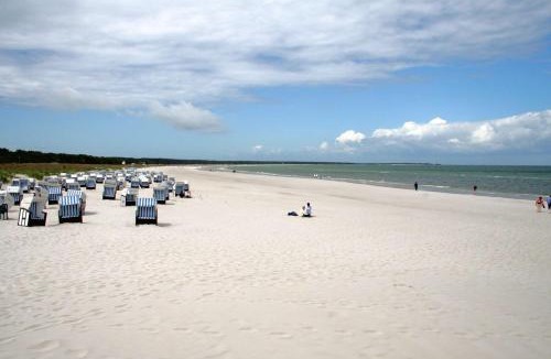 Ostseebad Prerow Hotel | Best Western Plus Ostseehotel Waldschloesschen