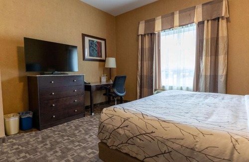 Southeast Edmonton Hotel | Best Western Plus South Edmonton Inn & Suites
