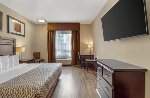 St. Albert Hotel | Best Western Plus St Albert