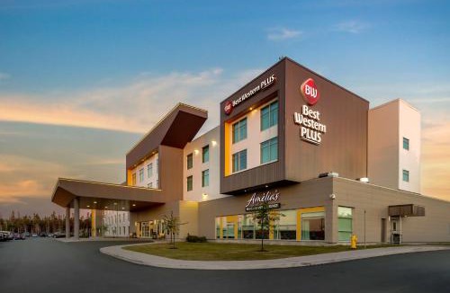 St. John's Hotel | Best Western Plus St. John's Airport Hotel and Suites