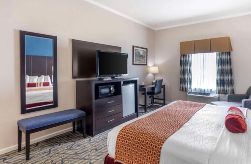 Spring Hill Hotel | Best Western Spring Hill Inn & Suites