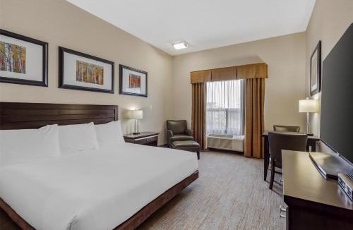 Wainwright Hotel | Best Western Wainwright Inn & Suites