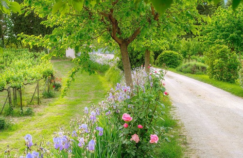 Spello Cottage | Between art and nature farm in Umbria Green Heart of Italy