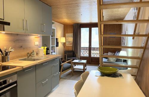 Thollon-les-Memises Apartment | Between lake en ski resort
