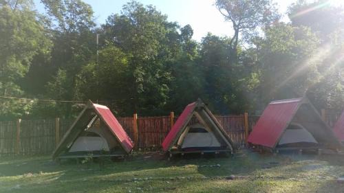 Tezu Other | Beyond Brahmaputra Campsite