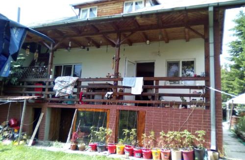 Bezdead House | Bezdead house hub