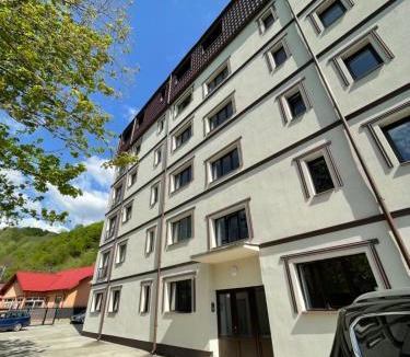 Nehoiu Apartment | Bibis Apartments