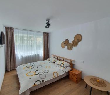 Bicaz Apartment | BicazApart