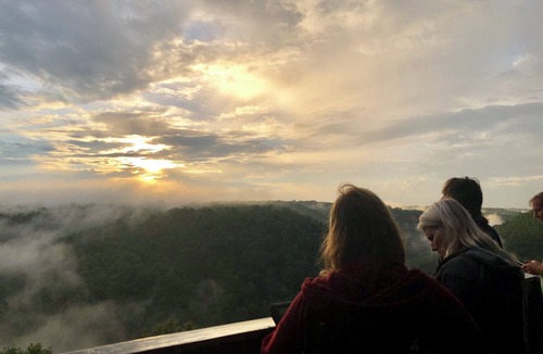 Strunk Cabin | 𝐁𝐢𝐠 𝐒𝐨𝐮𝐭𝐡 𝐅𝐨𝐫𝐤 Retreat! Excellent Location Private WIFI~ All NEW 𝐓𝐫𝐞𝐞 𝐓𝐨𝐩 𝐋𝐨𝐝𝐠𝐞!