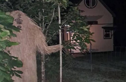 Moodys Cabin | Bigfoot Inn -cabin with loft -near Illinois River