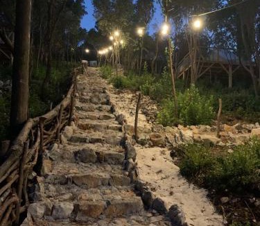 Glavaticici Other | Bigova Glamping