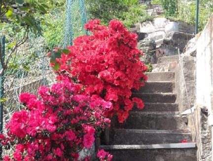 Cannobio Apartment | Bild Lago Maggiore