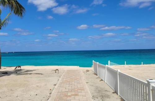 Alice Town Apartment | Bimini 2BR-2BA Ocean View Near Infinity Pool & Beach