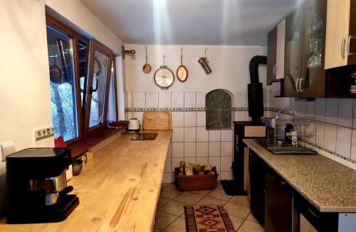 Recea Ski Chalet | Biniște -Tiny House by the river