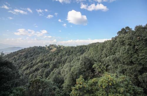 Binsar Cabin | Binsar Forest Retreat