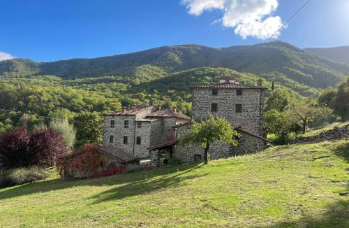 Caprese Michelangelo House | Bio Agriturismo Il Vigno - Pool Sauna Nature - Farm To Table Food - Wild Tuscan countryside - Adults Only - Your Place to Breathe