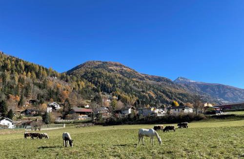 Obervellach House | Bio-Bauernhof Auernig