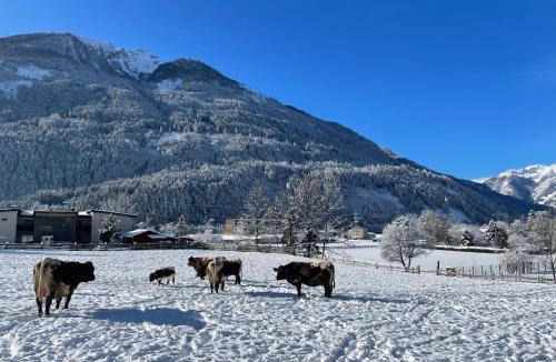 Obervellach House | Bio-Bauernhof Auernig