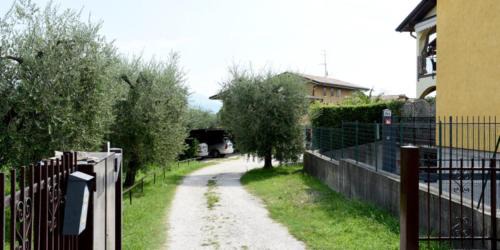 Pieve Vecchia House | Bio Forester