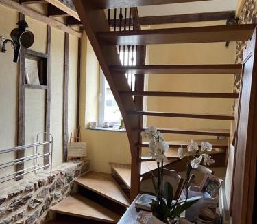 Argentre-du-Plessis House | Biologite