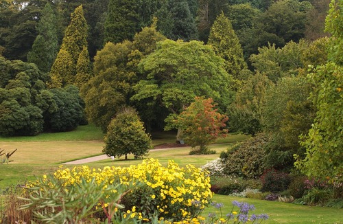Clayhidon Cottage | Birch House Studio is the perfect base for keen walkers and cyclists