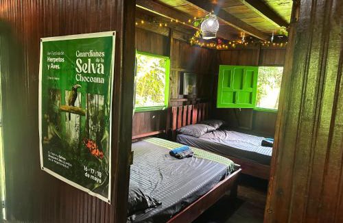 El Valle Hostel | Birding & herping bahía solano ecohostel