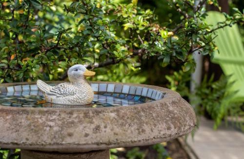 Onrus House | Birdsong