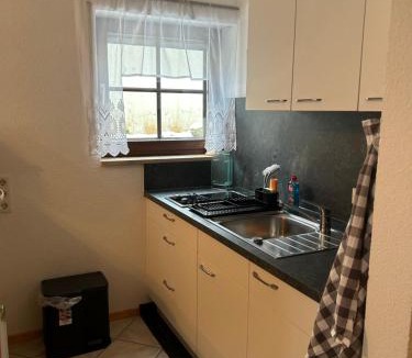 Todtmoos Apartment | Birke 6