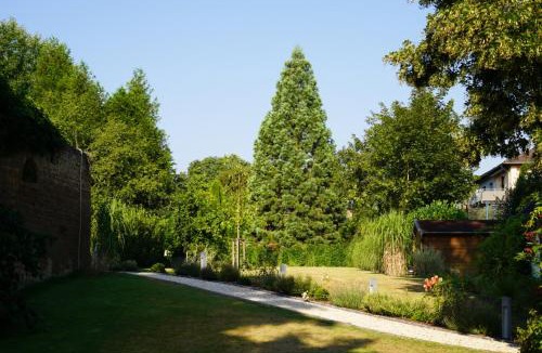 Meisenheim Apartment | BITO CAMPUS
