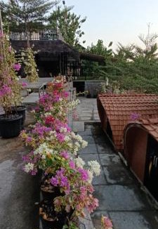 Patuk Other | Bitu Garden