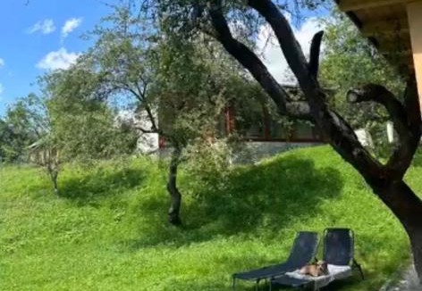 Viseu de Sus House | Biutiful Bungalow