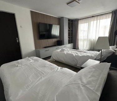 Petrila Apartment | Biverse Prestige