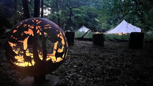 Sonchamp Other | BIVOUAC LOUPS Espace Rambouillet parc forestier et animalier