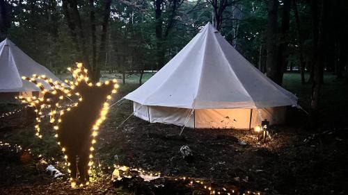 Sonchamp Other | BIVOUAC LOUPS Espace Rambouillet parc forestier et animalier