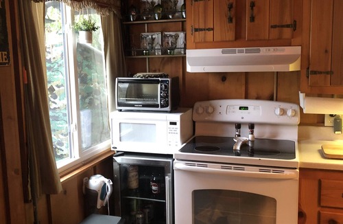 Lake Harmony Estates Ski Chalet | Black Bear Cozy Chalet, Lakeview, kayaks available for use