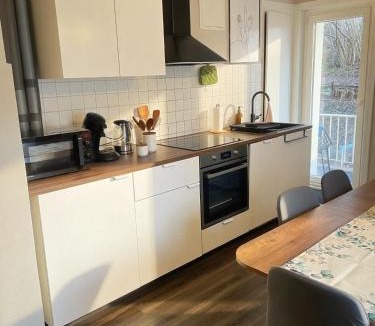 Triberg im Schwarzwald Apartment | Black Forest Family Apartment for 6