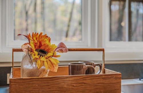 Berkeley Springs Ski Chalet | Black Forest - Wifi, Pet Friendly, Grill, Deck, Screen Porch, Family Friendly, Fireplace, Pool Access, Hiking