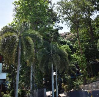 Krabi Resort | Blanco Hideout Railay - Youth Hostel 18 to 35 Only