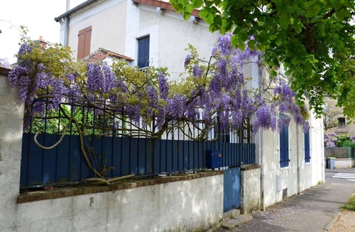 Fontainebleau House | Bleautiful Eugénie charming townhouse