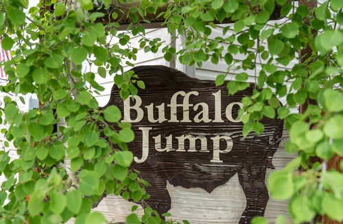 West Yellowstone Apartment | Blocks from Yellowstone Park Bison at Buffalo Jump